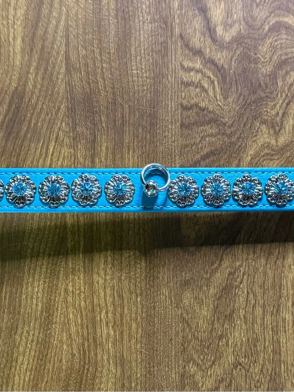 Teal Dog Collar - Size Medium
